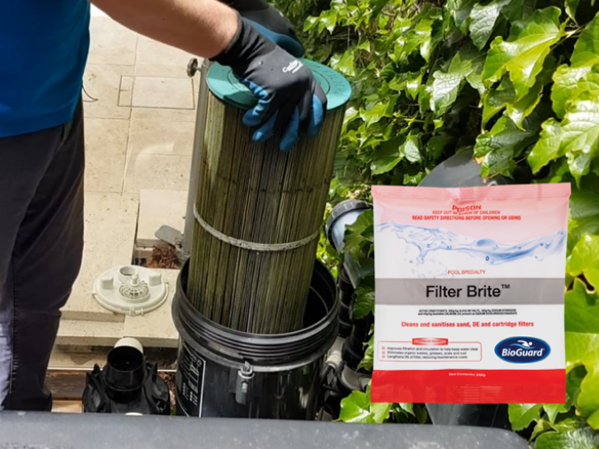 How to clean your pool filter Melton Pools and Spas